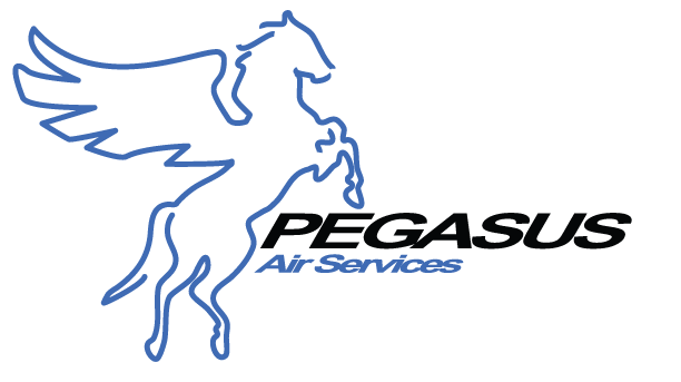 pegasus-logo-outlines-612x792
